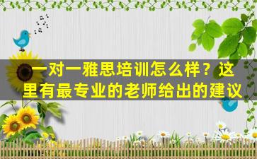 一对一雅思培训怎么样？这里有最专业的老师给出的建议