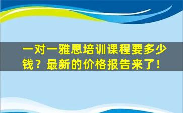 一对一雅思培训课程要多少钱？最新的价格报告来了！