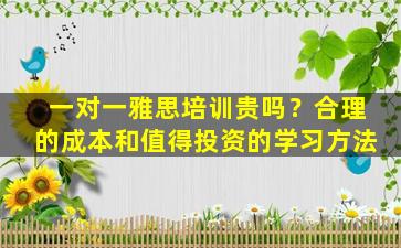 一对一雅思培训贵吗？合理的成本和值得投资的学习方法