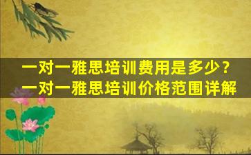 一对一雅思培训费用是多少？一对一雅思培训价格范围详解