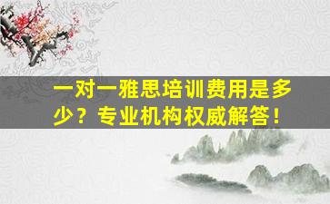 一对一雅思培训费用是多少？专业机构权威解答！