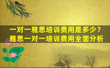 一对一雅思培训费用是多少？雅思一对一培训费用全面分析