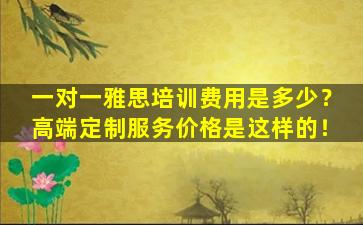 一对一雅思培训费用是多少？高端定制服务价格是这样的！