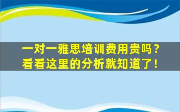 一对一雅思培训费用贵吗？看看这里的分析就知道了！