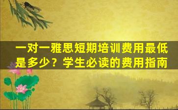 一对一雅思短期培训费用最低是多少？学生必读的费用指南