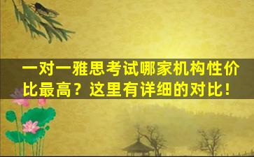 一对一雅思考试哪家机构性价比最高？这里有详细的对比！