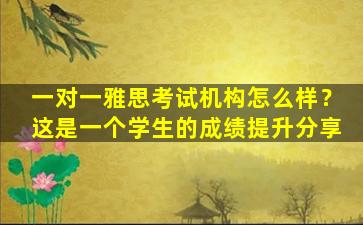 一对一雅思考试机构怎么样？这是一个学生的成绩提升分享