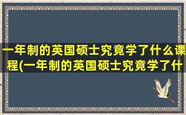 一年制的英国硕士究竟学了什么课程(一年制的英国硕士究竟学了什么知识)