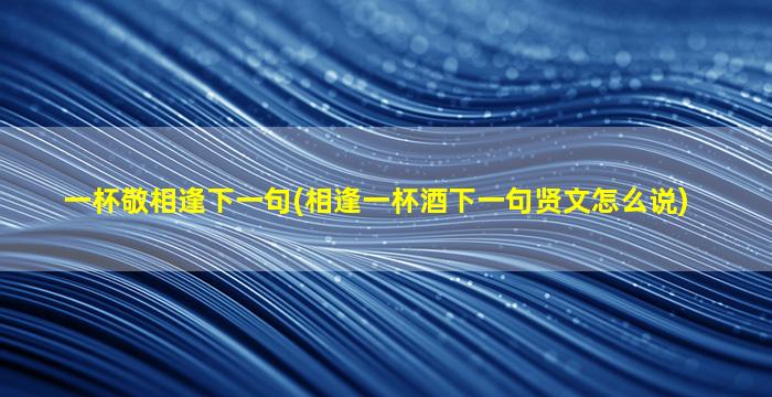 一杯敬相逢下一句(相逢一杯酒下一句贤文怎么说)