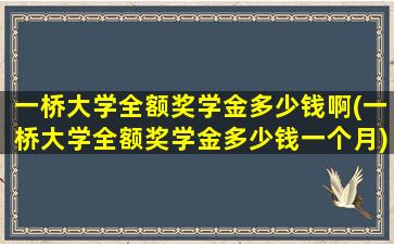 一桥大学全额奖学金多少钱啊(一桥大学全额奖学金多少钱一个月)