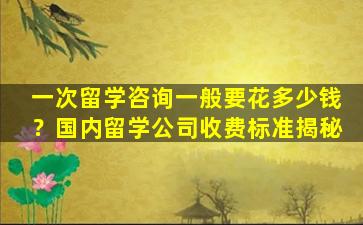 一次留学咨询一般要花多少钱？国内留学公司收费标准揭秘