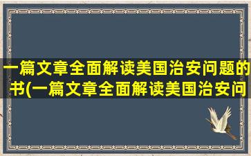 一篇文章全面解读美国治安问题的书(一篇文章全面解读美国治安问题的报告)