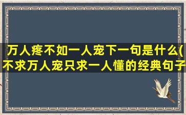 万人疼不如一人宠下一句是什么(不求万人宠只求一人懂的经典句子)