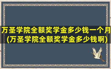 万圣学院全额奖学金多少钱一个月(万圣学院全额奖学金多少钱啊)