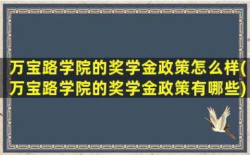 万宝路学院的奖学金政策怎么样(万宝路学院的奖学金政策有哪些)