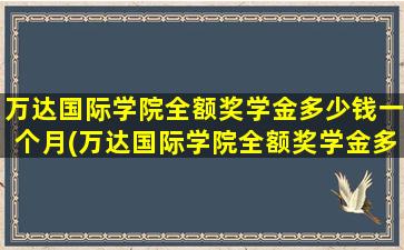 万达国际学院全额奖学金多少钱一个月(万达国际学院全额奖学金多少钱啊)