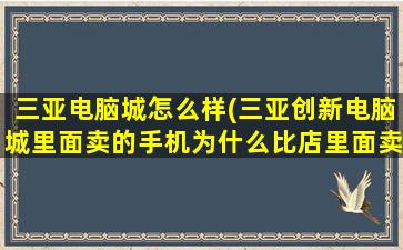 三亚电脑城怎么样(三亚创新电脑城里面卖的手机为什么比店里面卖的便宜)