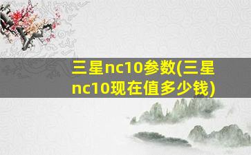 三星nc10参数(三星nc10现在值多少钱)