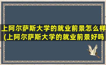 上阿尔萨斯大学的就业前景怎么样(上阿尔萨斯大学的就业前景好吗)