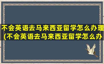 不会英语去马来西亚留学怎么办理(不会英语去马来西亚留学怎么办理签证)