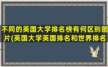 不同的英国大学排名榜有何区别图片(英国大学英国排名和世界排名不一样)