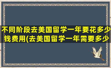 不同阶段去美国留学一年要花多少钱费用(去美国留学一年需要多少钱)