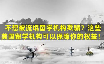 不想被流氓留学机构欺骗？这些美国留学机构可以保障你的权益！