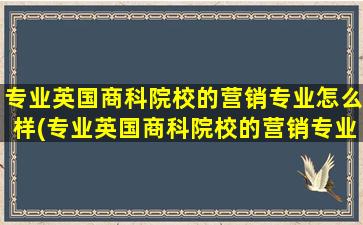 专业英国商科院校的营销专业怎么样(专业英国商科院校的营销专业是什么)