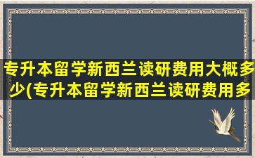 专升本留学新西兰读研费用大概多少(专升本留学新西兰读研费用多少钱)