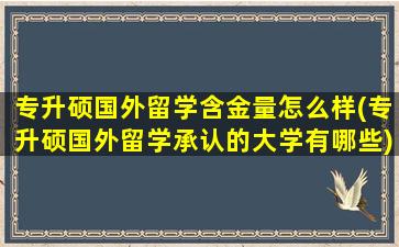 专升硕国外留学含金量怎么样(专升硕国外留学承认的大学有哪些)