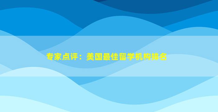 专家点评：美国最佳留学机构排名