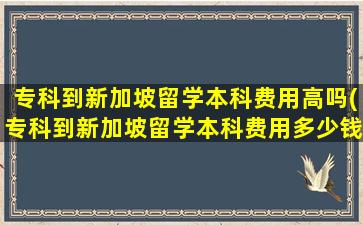 专科到新加坡留学本科费用高吗(专科到新加坡留学本科费用多少钱)