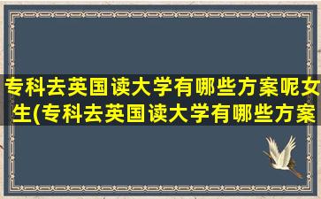 专科去英国读大学有哪些方案呢女生(专科去英国读大学有哪些方案呢英语)