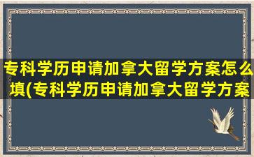 专科学历申请加拿大留学方案怎么填(专科学历申请加拿大留学方案是什么)