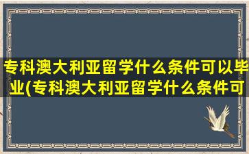 专科澳大利亚留学什么条件可以毕业(专科澳大利亚留学什么条件可以申请)