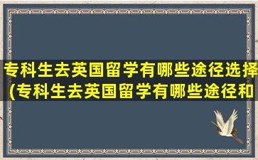 专科生去英国留学有哪些途径选择(专科生去英国留学有哪些途径和方法)