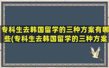 专科生去韩国留学的三种方案有哪些(专科生去韩国留学的三种方案是)