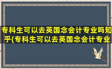 专科生可以去英国念会计专业吗知乎(专科生可以去英国念会计专业吗)