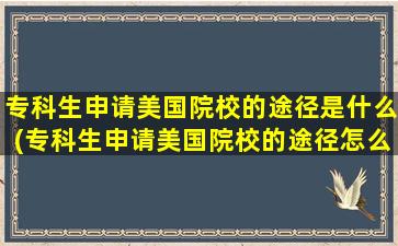 专科生申请美国院校的途径是什么(专科生申请美国院校的途径怎么写)