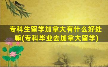 专科生留学加拿大有什么好处嘛(专科毕业去加拿大留学)