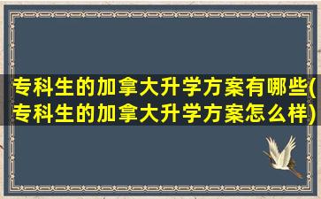 专科生的加拿大升学方案有哪些(专科生的加拿大升学方案怎么样)