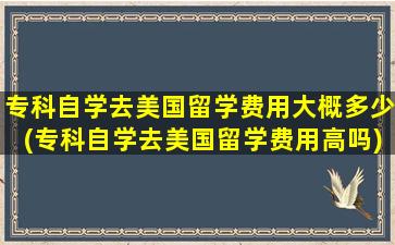 专科自学去美国留学费用大概多少(专科自学去美国留学费用高吗)