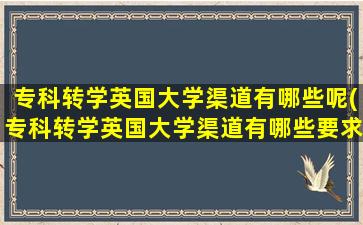 专科转学英国大学渠道有哪些呢(专科转学英国大学渠道有哪些要求)