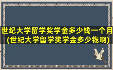 世纪大学留学奖学金多少钱一个月(世纪大学留学奖学金多少钱啊)