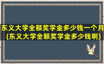 东义大学全额奖学金多少钱一个月(东义大学全额奖学金多少钱啊)