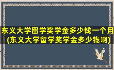 东义大学留学奖学金多少钱一个月(东义大学留学奖学金多少钱啊)