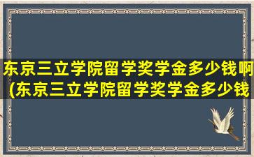 东京三立学院留学奖学金多少钱啊(东京三立学院留学奖学金多少钱一个月)