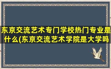 东京交流艺术专门学校热门专业是什么(东京交流艺术学院是大学吗)