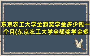 东京农工大学全额奖学金多少钱一个月(东京农工大学全额奖学金多少钱啊)