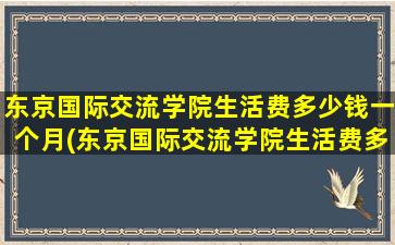 东京国际交流学院生活费多少钱一个月(东京国际交流学院生活费多少钱啊)